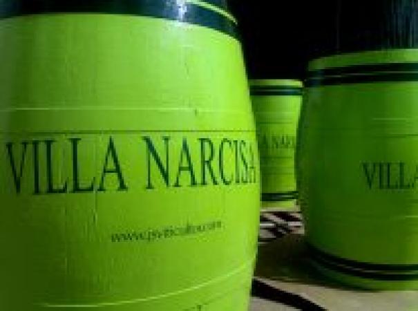 Premios obtenidos por Villa Narcisa Rueda verdejo 2009 durante el año 2010